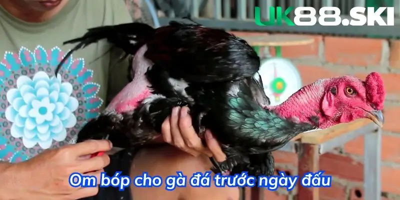 Thường xuyên om bóp để có được kết quả tốt nhất